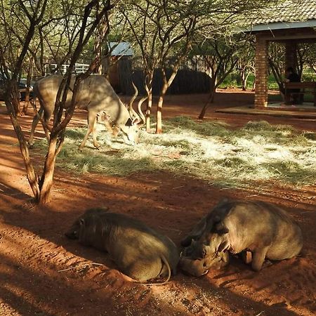 462 Bosbok Chalets Marloth Park Exteriér fotografie