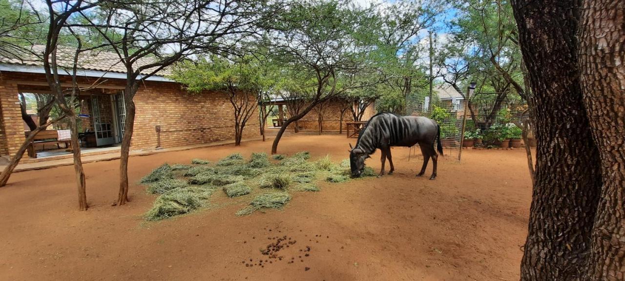 462 Bosbok Chalets Marloth Park Exteriér fotografie