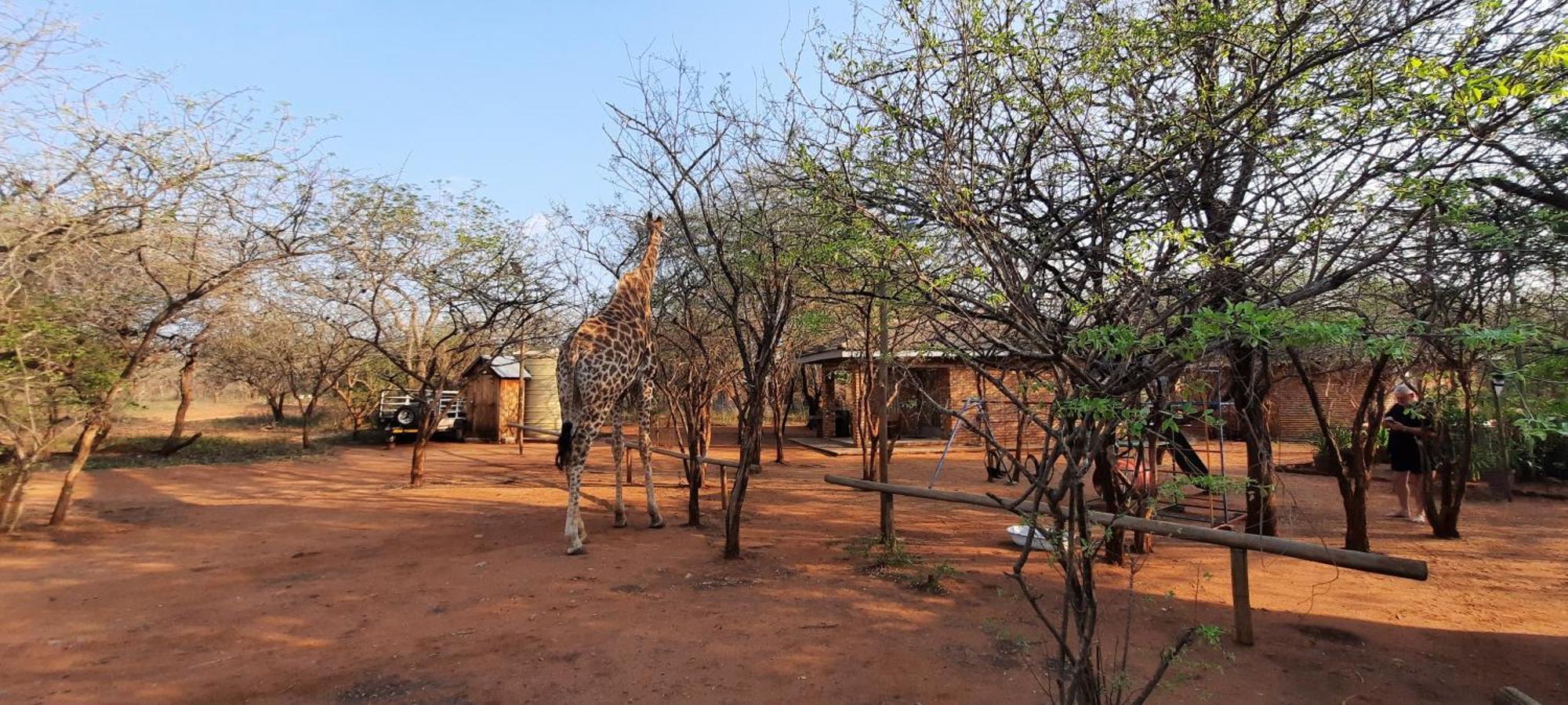 462 Bosbok Chalets Marloth Park Exteriér fotografie