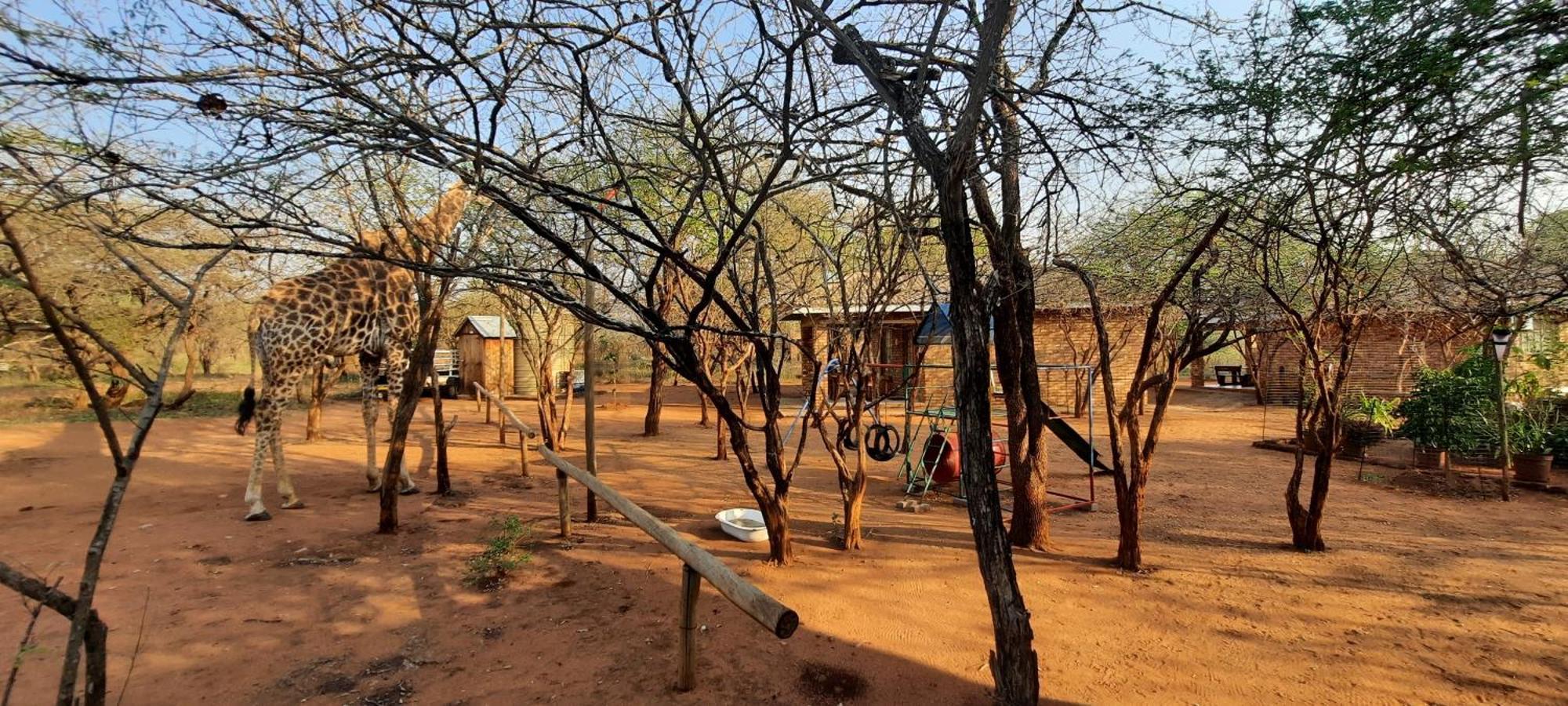 462 Bosbok Chalets Marloth Park Exteriér fotografie
